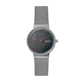 Pasek do zegarka Skagen SKW2832 Stal nierdzewna Szary 16mm