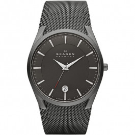 Pasek do zegarka Skagen SKW6010 Tytan 30mm