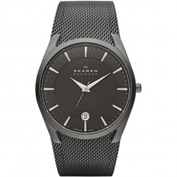 Pasek do zegarka Skagen SKW6010 Tytan 30mm
