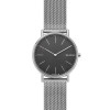 Pasek do zegarka Skagen SKW6483 Milanese Stal 20mm