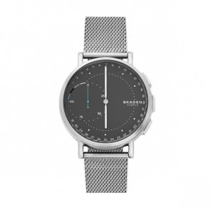 Pasek do zegarka Skagen SKT1113 Milanese Stal 20mm