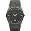 Pasek do zegarka Skagen SKW6010 Tytan 30mm